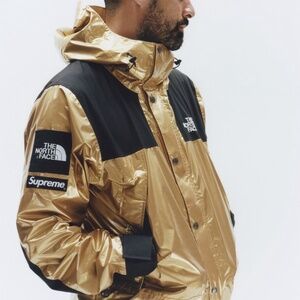 Supreme The North Face Metallic Mountain Parka
